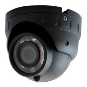 Cámara de Vigilancia IP Móvil Tipo Domo de 2MP, Micrófono Integrado, Anti Vibraciones, IP66, Color Negro (MC11